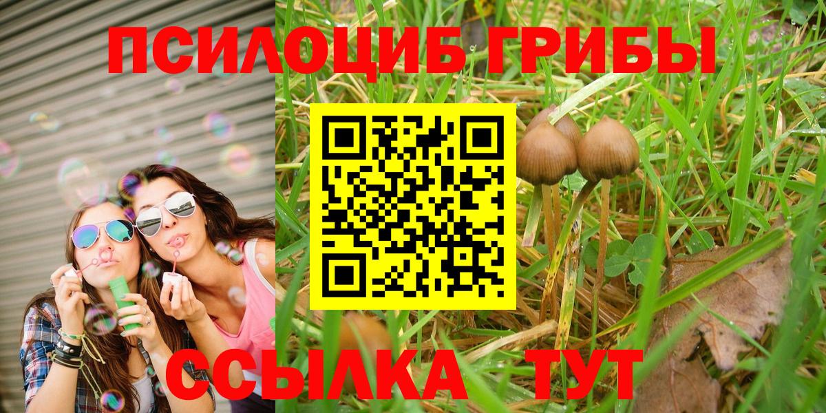 Псилоцибиновые грибы мухоморы  Вход с VPN  Галлюциногенные грибы Psilocybine cubensis  Белореченск 